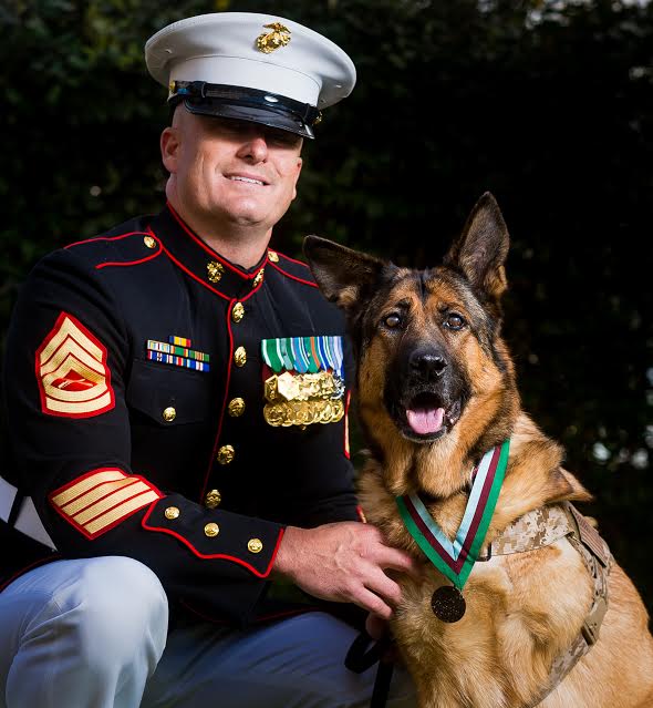 Retired US Marine Corps dog Lucca receives the PDSA Dickin Medal for gallantry  during her six year career, with her owner Gunnery Sergeant Christopher Willingham at the Wellington Barracks, London on the 05/04/2016. Photo: David Tett