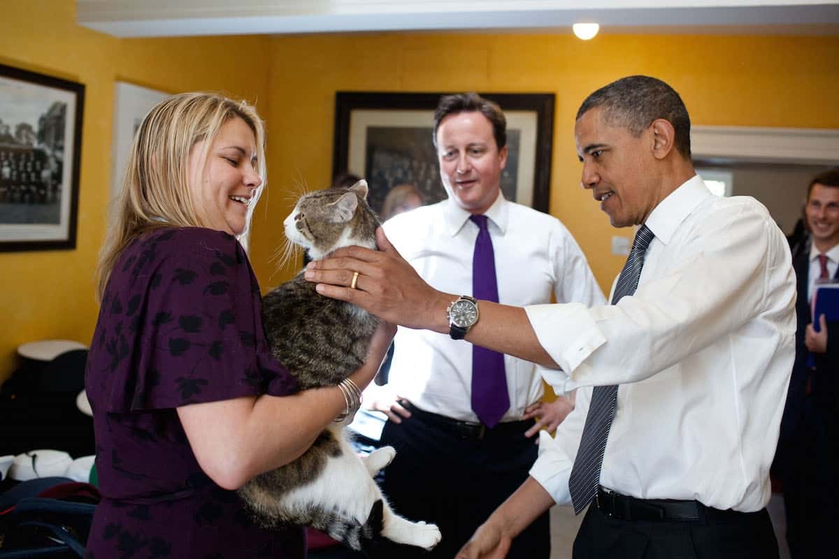 British Prime Minister David Cameron introduces President Barack Obama to Larry the cat at 10 Downing Street in London, England, May 25, 2011. (Official White House Photo by Pete Souza)This official White House photograph is being made available only for publication by news organizations and/or for personal use printing by the subject(s) of the photograph. The photograph may not be manipulated in any way and may not be used in commercial or political materials, advertisements, emails, products, promotions that in any way suggests approval or endorsement of the President, the First Family, or the White House.