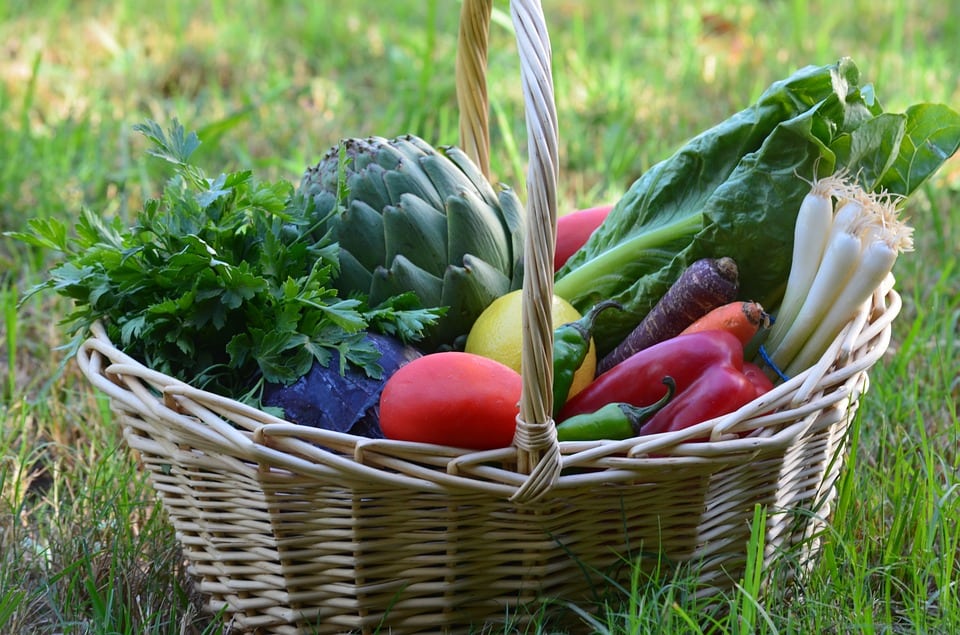 Organic Vegetarian Vegan Food Vegetable Healthy