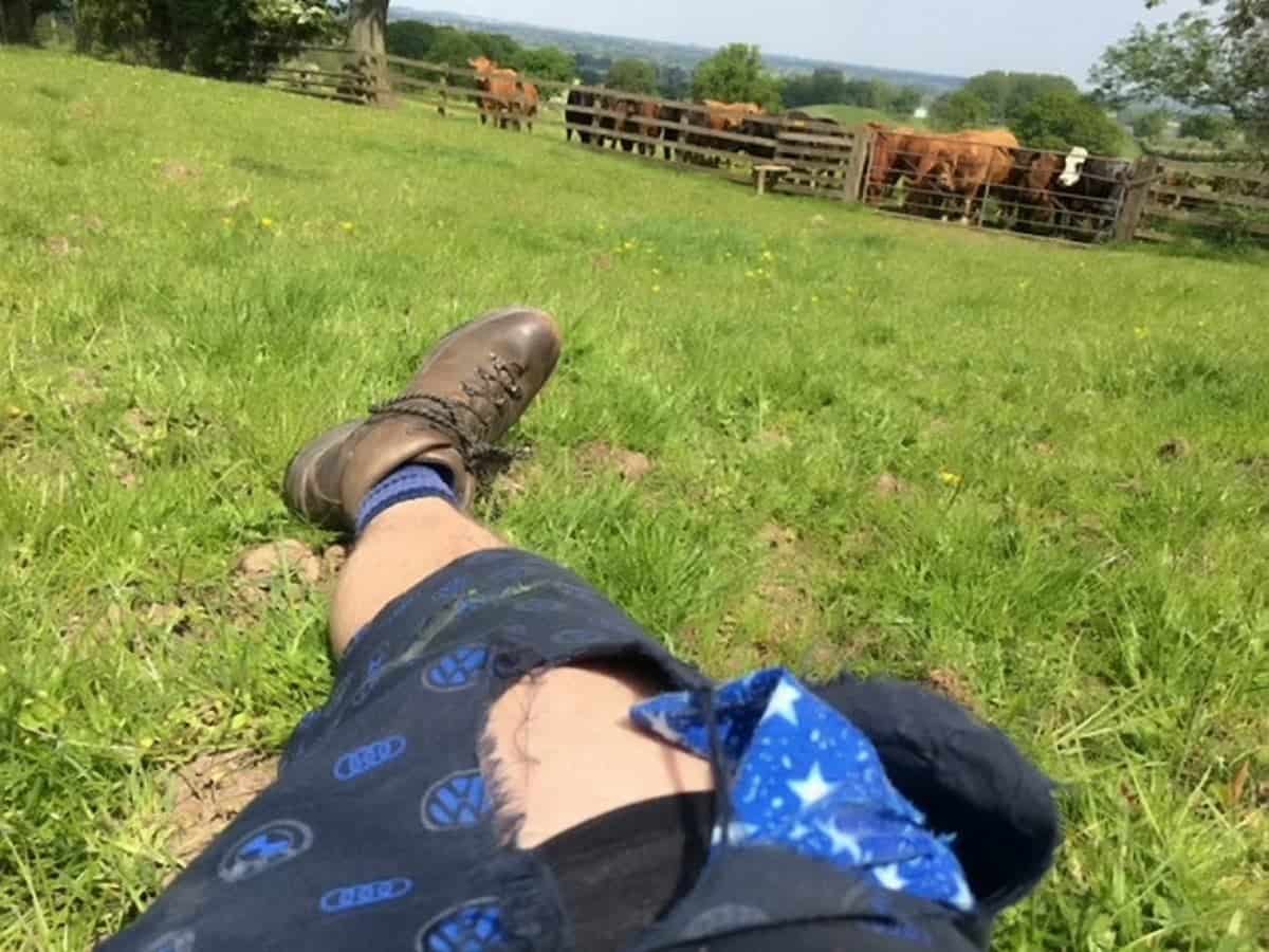 A taxi driver has described how he almost died after being trampled by an angry herd of rampaging cows as he was out walking his dog. Adam Delves, 38, was left badly injured after he was repeatedly stamped on and tossed into the air by the stampeding animals on a public pathway.