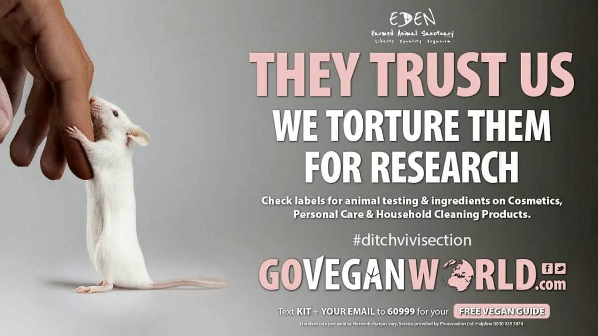 Vegan group's 'animal torture' claim ad given all clear despite complaint  from scientist