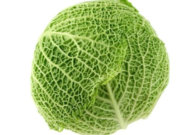 cabbage (c) Nick Youngson / Alpha Stock Images