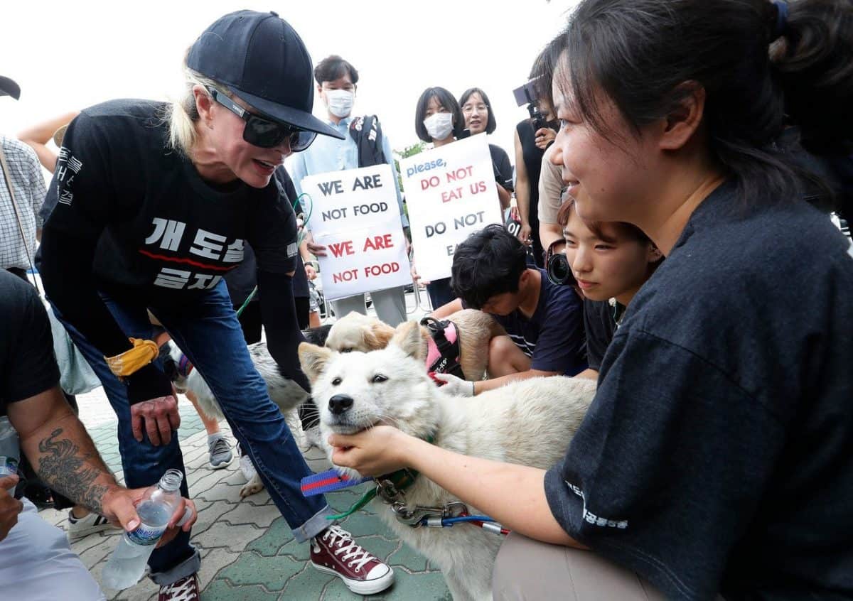 Kim Basinger, left, with a pet dog during a rally to oppose eating dog meat, in front of the National Assembly in Seoul (Ahn Young-joon/AP)
