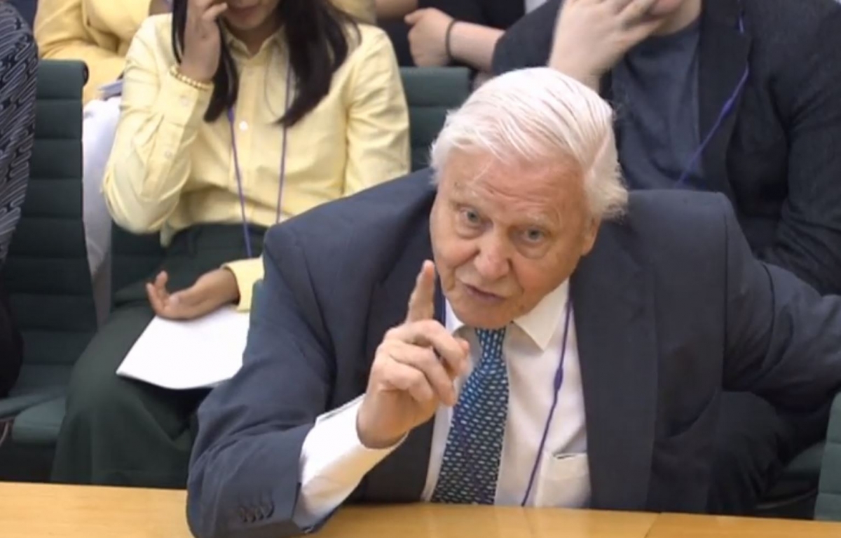 Naturalist Sir David Attenborough giving evidence to the House of Commons Business, Energy and Industrial Strategy Committee,