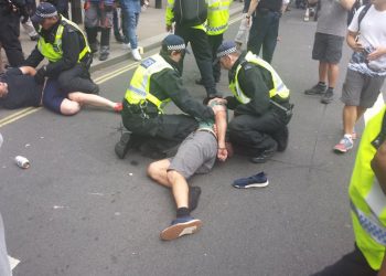 Police arrest Robinson supporters in Whitehall. (c) Chris Hobbs