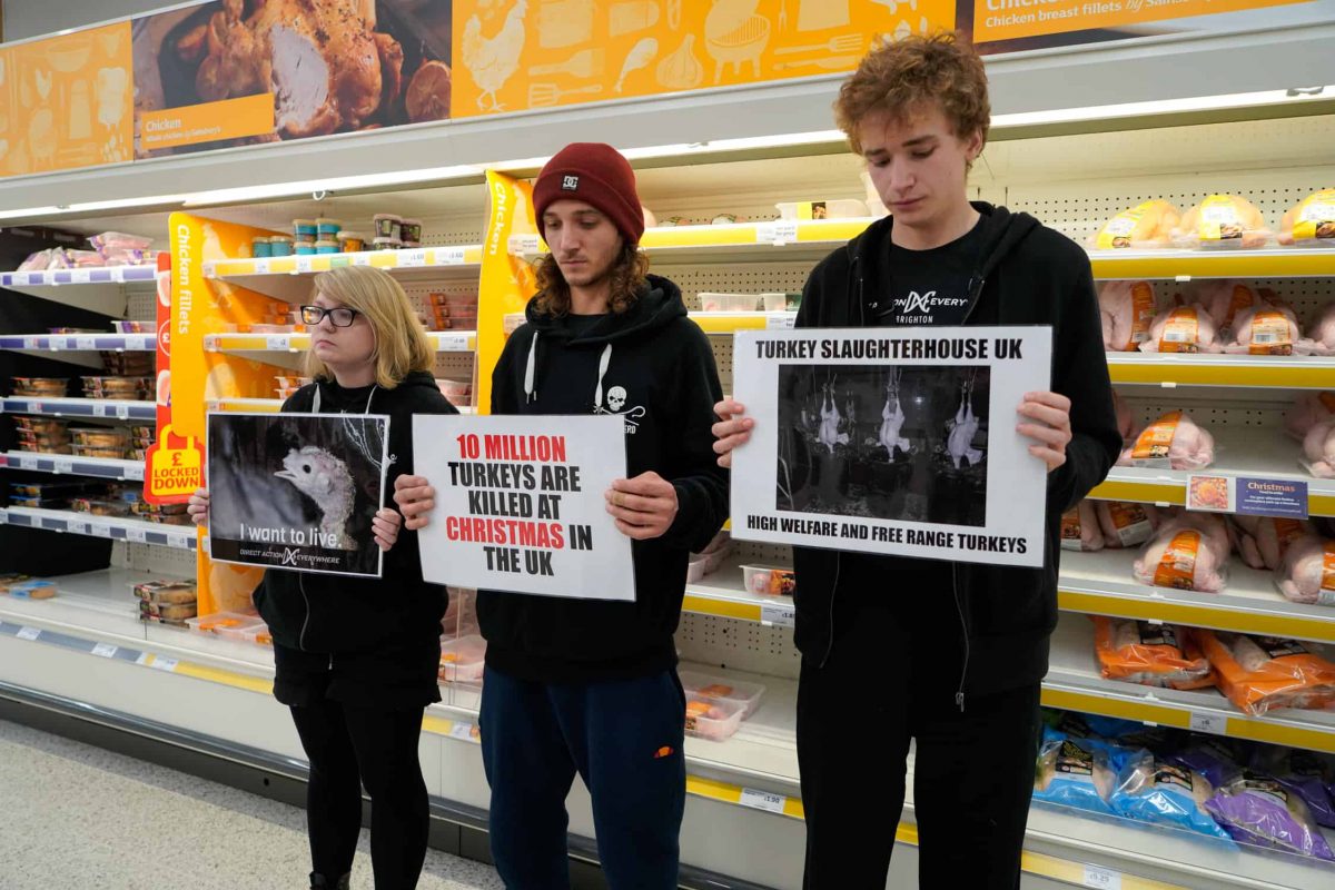 Credit; Direct Action Everywhere (DxE) of demonstrators holding a protest in the meat aisle in a branch of Sainsbury's in Brighton, East Sussex.