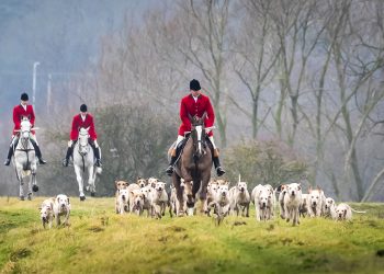 Members of the Grove and Rufford Hunt, formed in 1952, near Bawtry in South Yorkshire as hundreds of packs across the country meet for traditional Boxing Day hunts.