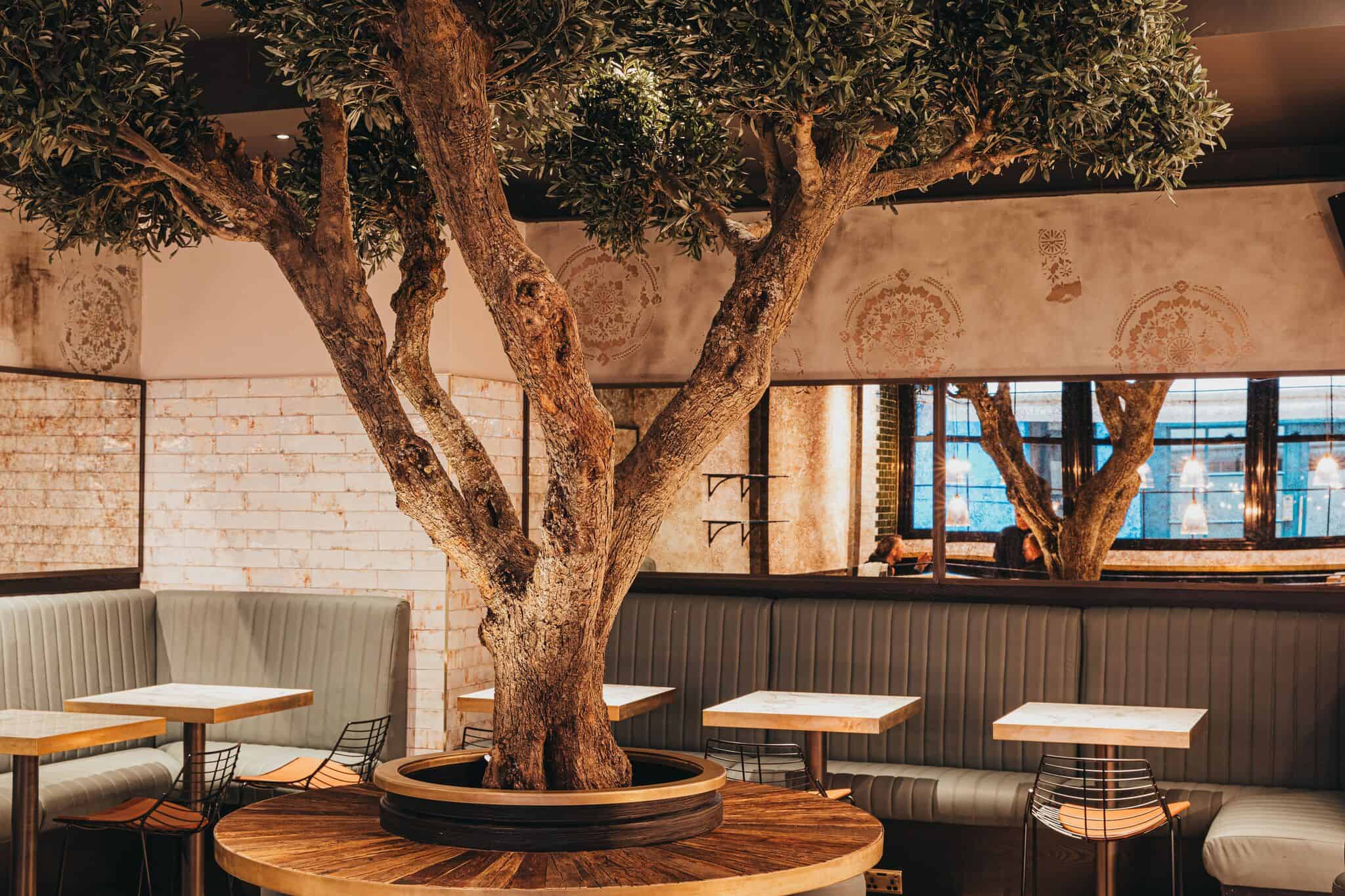Bancone Golden Square Interior with olive tree 3
