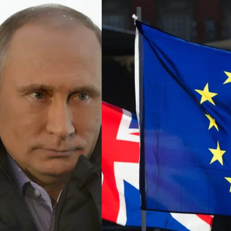 Vladimir Putin Brexit