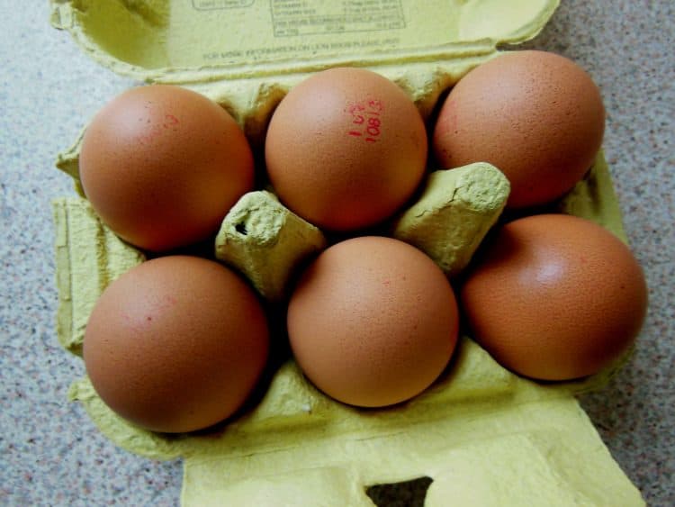 Free Range eggs