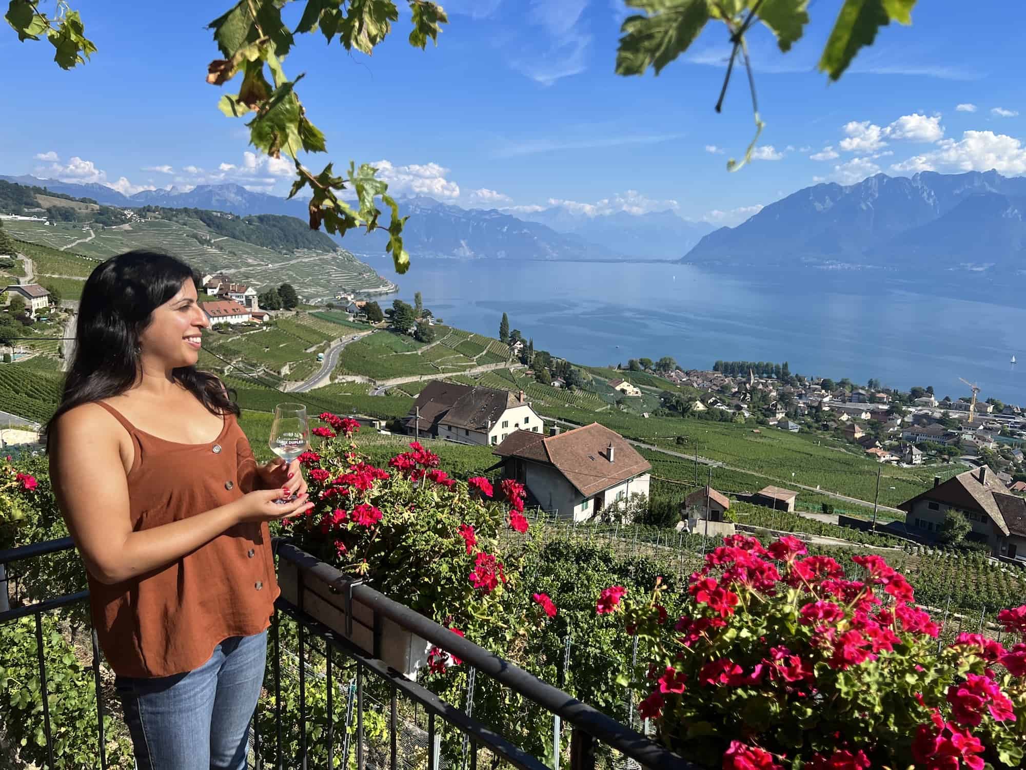View of the Lavaux vineyards from Domaine Croix Duplex