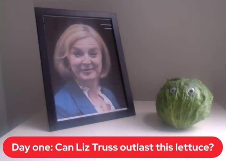 Liz Truss lettuce